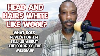 Head And Hairs White Like Wool? Revelation 1:14 And The