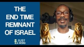 The End Time Remnant of Israel
